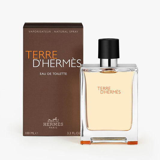 Terre D'Hermès - Hermès 100ml (Eau de toilette)