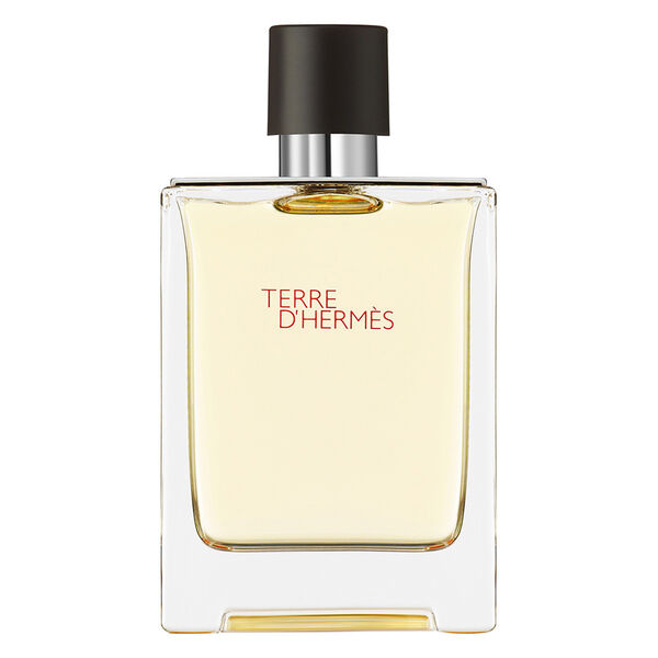 Terre D'Hermès - Hermès 100ml (Eau de toilette)